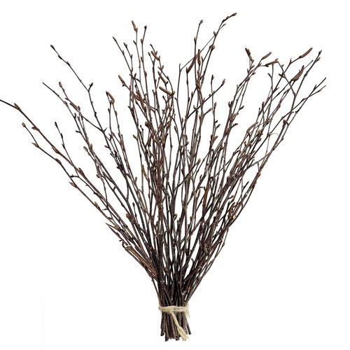 Inch natural birch - 17,