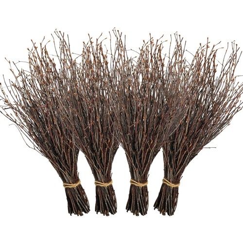 200 pcs real - dried, birch