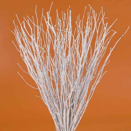 Pcs real dried - pcs, birch
