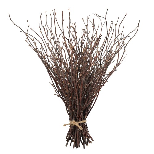 50pcs birch twigs 17 inch - twigs,
